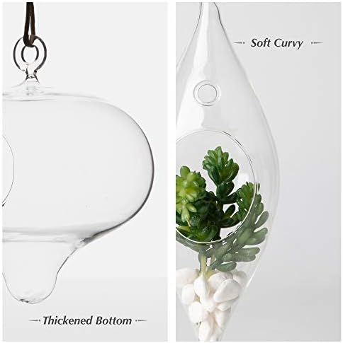 WGV Glass Hanging Plant Terrarium Bulk, Width 5", Height 5.5", Turnip DIY Succulent Air Planter Clear Tea Light Votive Candle Holder for Event Home Garden Outdoor Decor, 6 Pieces - Image 3