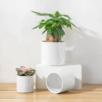 vancasso Ceramic Plant Pots, 4.25+5.25+6.25 Inch Planter Pot with Drainage Hole, Flower Pots for Indoor Outdoor Plants, Set of 3, White - Image 6