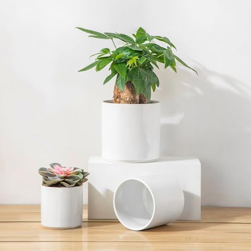 vancasso Ceramic Plant Pots, 4.25+5.25+6.25 Inch Planter Pot with Drainage Hole, Flower Pots for Indoor Outdoor Plants, Set of 3, White - Image 6