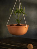 village Decor Terracotta Hanging Bowl Planter with Rope (Dia -8 INCH ,Rope _Lenght - 24 INCH) by VillageDecor