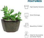 Bonsai Planter 20 pc Mini Glazed Pots Succulent 1.6 Inch - Image 5
