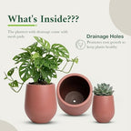 DTY Signature Mount Wilson Modern Indoor Outdoor Fiberstone Tapered Planter, Lightweight, Weather Resistant Garden Pot with Drainage Hole & Rubber Plug (Terracotta, 15'' D x 16.7'' H) - Image 3