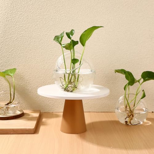 Mipcase 3 Pack Slanted Glass Terrarium Set, Clear Bubble Planter Globe - Image 2