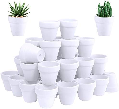 Winlyn 60 Pcs White Terra Cotta Pot - 2.5 Inch Tiny Mini Clay Pots with Drainage Holes Flower Nursery Terra Cotta Pots for Succulent Plants, Crafts, Wedding Baby Shower Favor by Winlyn