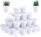 Winlyn 60 Pcs White Terra Cotta Pot - 2.5 Inch Tiny Mini Clay Pots with Drainage Holes Flower Nursery Terra Cotta Pots for Succulent Plants, Crafts, Wedding Baby Shower Favor by Winlyn