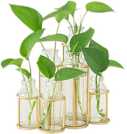 Flower Vases with 6 Bottle Crystal Clear Glass Flower Vase with Metal Stand Propagation Station Plant Display Holder Set for Home or Wedding Décor by Radefasun