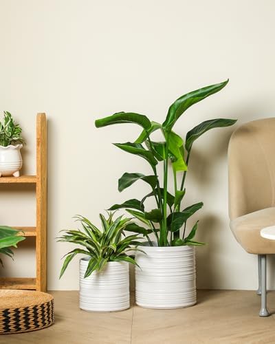 Ceramic Planter Set 6/8/10 Inch, Modern Striped Planter Set Indoor Outdoor - Image 6
