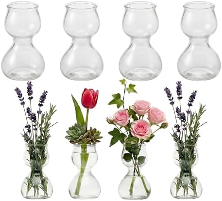 Garden Guru Plant Propagation Stations - Clear Glass Bud Vases Set of 8 - Mini Vases for Wedding Centerpieces, Cafe Décor, Tea Shop Displays - Small Hydroponic & Flower Vase by GardenGuru