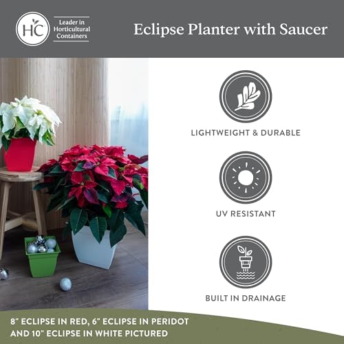 The HC Companies Eclipse Square Plastic Planter w/Attached Saucer - Outdoor & Indoor Plant Pot with Drainage Holes - Lightweight, UV-Resistant Plastic Pots for Plants (12" Rose, Pack of 1) - Image 4