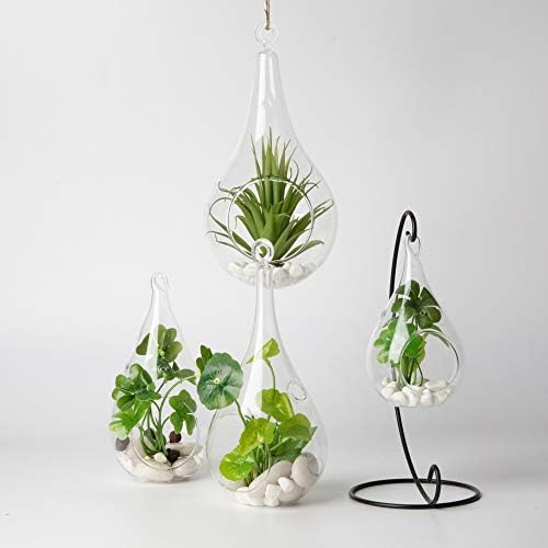 WGV Glass Hanging Plant Terrarium Bulk, Width 3", Height 5.5", Teardrop DIY Air Succulent Planter Clear Tea Light Votive Candle Holder, Wedding Event Office Home Outdoor Decor, 6 Pieces - Image 7