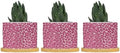 Hot Pink Leopard Print Ceramic Planter Animal Strip Planters for Outdoor Plants with Drainage Holes and Saucers Pot for Succulents Cactus Garden Windowsill by BRUYU5SE