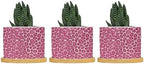 Hot Pink Leopard Print Ceramic Planter Animal Strip Planters for Outdoor Plants with Drainage Holes and Saucers Pot for Succulents Cactus Garden Windowsill by BRUYU5SE