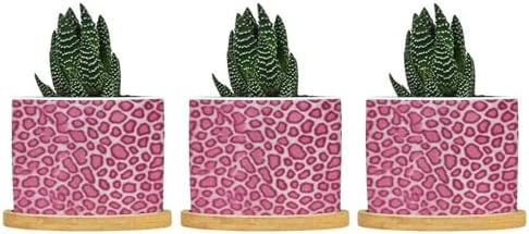 Hot Pink Leopard Print Ceramic Planter Animal Strip Planters for Outdoor Plants with Drainage Holes and Saucers Pot for Succulents Cactus Garden Windowsill by BRUYU5SE