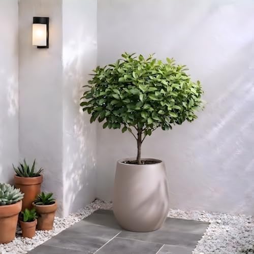 KUTE NEST 11.4" Premium Corso Fiberstone Outdoor Planter - Taupe - Image 3