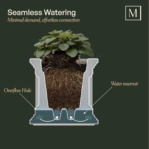 Mayne Cape Cod 16in Self-Watering Square Planter, Black - Image 3