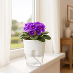 Planterhoma 12 Pack Self Watering Pots for Indoor Plants, 4 Inch Plant Pot Plastic Self Watering Planter for Orchid, African Violet, Small Clear Flower Pots with Drainage Holes and Wicking Rope, White - Image 2