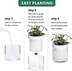 Phoenix Vine 4 Inch Self Watering Planter, White Terracotta Clay Pot with Glass Reservoir for Indoor Plants, Herbs, Flowers, Set of 4, 52-B-E-4 - Image 7