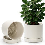 Phoenix Vine 8 Inch Planter Pot with Drainage Hole & Saucer, Deep Water Catch Tray, Straight Cylindrical Round Pot for Plants, Oatmeal, Pack of 2, 23-E-T-2 by Phoenix+Vine
