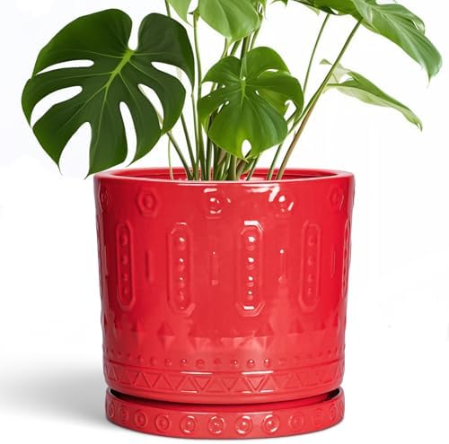 Eightpot 10 Inch Plant Pot, Ceramic Pots for Plants for Indoor Outdoor Plants, Round Planter with Drainage Hole and Tray, Boho Decorative Flower Pots, Front Porch Decor, Gifts for Plant Lovers, Red by Eightpot