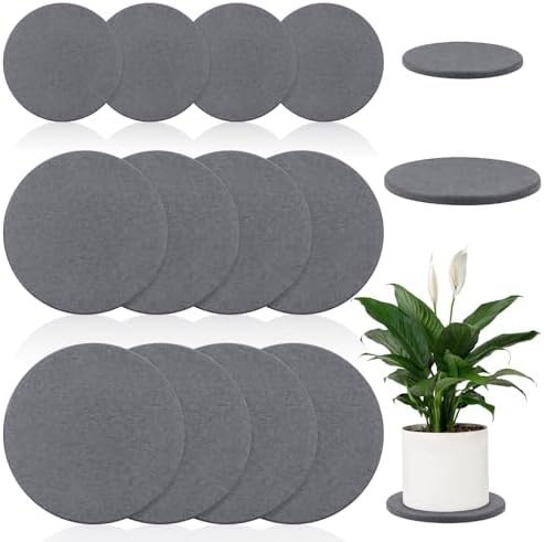 Diatomaceous Earth Coaster 4/6/8inch Diatomite Plant Saucer Stone Plant Sourcer Instant Dry Water Absorbent Diatomite Tray (Dark Gray) by ZBHANSHUIS