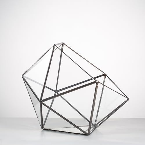 NCYP Opened Geometric Glass Terrarium, 6.69" Bowl Shape Planter for Succulent Plant Cacti, Indoor Balcony Irregular Decor, Garden Miniature Pot, Tabletop Centerpiece (No Plants) - Image 6