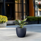 Kante Round Concrete Planter, Large Outdoor Indoor Garden Pots with Drainage Hole, 14-Inch Diameter Flower Pots for Patio, Garden and Home, Charcoal - Image 4