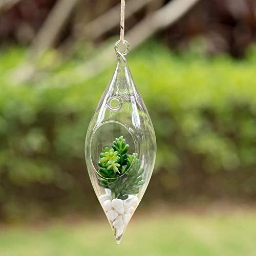 WGV Glass Hanging Plant Terrarium Bulk, Width 3", Height 9", Droplet DIY Succulent Air Planter Clear Tea Light Votive Candle Holder for Event Home Garden Outdoor Decor, 6 Pieces - Image 6