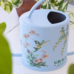 Indoor Watering Can & Mist Spray Bottle Set for Indoor Plants - Decorative - Image 3