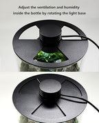 Desktop Glass Terrarium with Grow Light (7.5" H x 5.9" D) - for Succulents, Moss, Mini Gardens, Betta Fish Tanks, Mushroom Cultivation | Indoor Plant Growth | Office/Home Decor | Plant Lover Gifts - Image 4