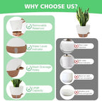 12" 10" 9" 8" Self Watering Pots with Water Level Indicator, Large Plastic Planters Set with Mesh Drainage Hole and Removable Saucer Reservoir, Big Flower Pot for Indoor Outdoor Plants - White - Image 3
