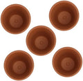 VALICLUD Red Terracotta Succulent Planting Pots with Saucers, 8x8cm Clay Flower Containers for Indoor and Outdoor Garden, Breathable and Water-Absorbent Planters, 5pcs Set by VALICLUD