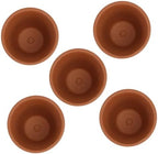 VALICLUD Red Terracotta Succulent Planting Pots with Saucers, 8x8cm Clay Flower Containers for Indoor and Outdoor Garden, Breathable and Water-Absorbent Planters, 5pcs Set by VALICLUD