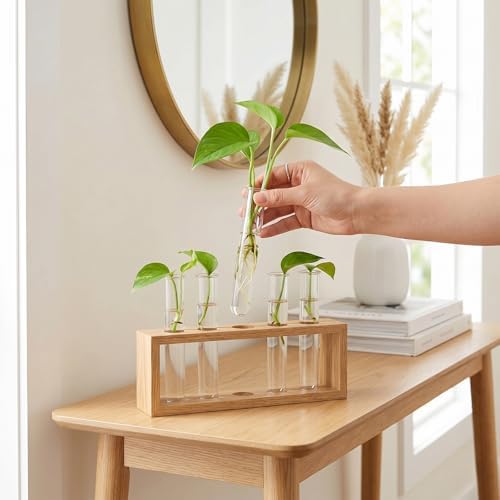 4pcs Plant Propagation Tubes Glass Test Tube Vase Replacement Clear Hydroponic Flower Vase for Home Office Wall Decor Desktop Decorations (Without Stand) (18.00X3.00X2.50CM) - Image 5