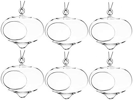 WGV Glass Hanging Plant Terrarium Bulk, Width 5", Height 5.5", Turnip DIY Succulent Air Planter Clear Tea Light Votive Candle Holder for Event Home Garden Outdoor Decor, 6 Pieces by WGVInternational-OpusGlassware