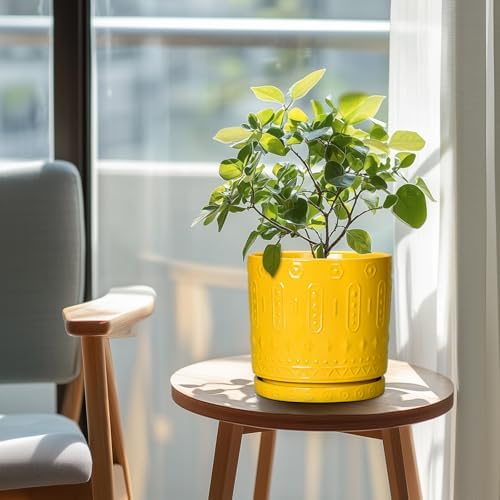 Eightpot 8 Inch Plant Pot, Ceramic Pots for Plants with Drainage Hole and Sacuer, Round Flower Pots for Indoor Outdoor Plants, Modern Decorative Planter, Table Decor, Plant Gifts for Women, Yellow - Image 3