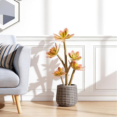 Artificial Succulents Plants 2ft, Yellow Fake Cactus Plant with Brown Pot, Large Faux Floor Plant UV-Resistant for Home Office Hotel Patio Balcony or Garden Indoor Outdoor Desert Decor - Image 2