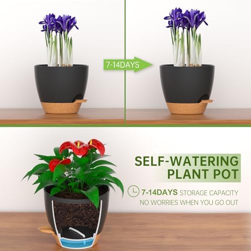 ZMTECH 12Inch 2Pcs Plant Pot Planter for Indoor Plants Self Watering Flower Pots with Drainage Holes and Saucer for Outdoor Plants(Grey with Brown) - Image 3