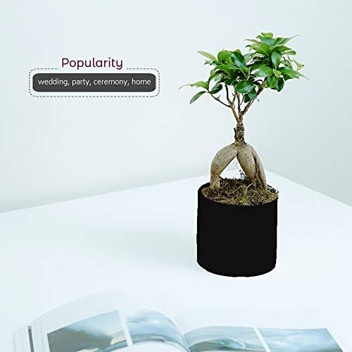 WGVI Matte Black Ceramic Cylinder Vase Width 5.5" Height 5", Flower Arrangements, Candle Holder, Terrarium Planter Pot, Storage Container Organizer, Pen Brush Holder, Tabletop Decor, Bulk, 6 Pcs - Image 5