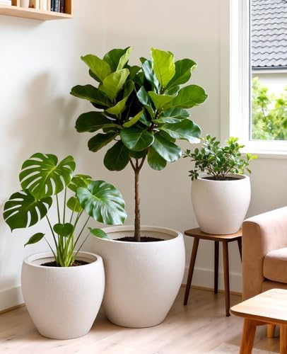 homenote 14.5/12/9.6 Inch Large Plastic Flower Pots with Drainage (3 Pcs) - Image 4