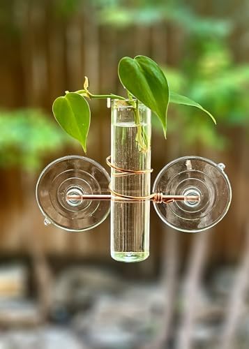 1 Lily Window Plant Propagator- Window Plant Propagation Station with Removable Glass Test Tubes for Indoor Plant Clippings, Cut Flowers, Herbs, Succulents | Home Decor | Plant Lover Gift (1 Lily) - Image 2