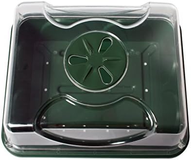 EarlyGrow 70782 Propagator with Tray and Mat, 9" x 21" x 6", Black/Green - Image 4