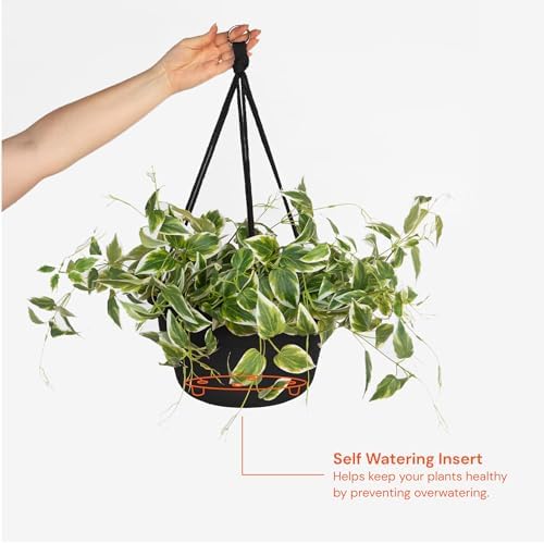 Bloem Dura Cotta 12" Plastic Hanging Basket Planter, Black, 4-Pack - Image 4