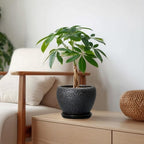 Ceramic Planter 6 Inch, Ceramic Plant Pots Indoor, Black - Image 3