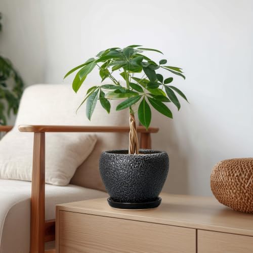 Ceramic Planter 6 Inch, Ceramic Plant Pots Indoor, Black - Image 3