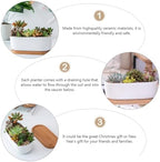 DOITOOL 2pcs Oval Ceramic Flowerpot Hydroponic Pot Ceramic Succulent Planter Outdoor Planters Flower Pots Indoor Bonsai Pot with Tray Garden Planting Container Household Bamboo Set - Image 3