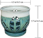 W&W Orchid Pot with Holes and Saucer for Repotting, Teal Mix, 6.5" - Image 6