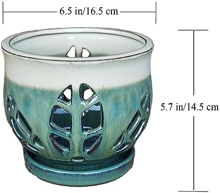 W&W Orchid Pot with Holes and Saucer for Repotting, Teal Mix, 6.5" - Image 6