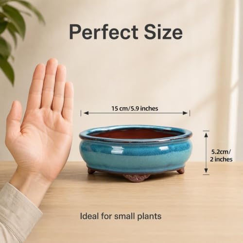 6" Ceramic Succulent Pots, Planters with Drainage Holes, 3 Pack - Image 6