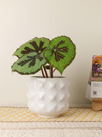 Ceramic Plant Pots, Geometry Textured Flower Pots Indooe/Outdoor, Modern Planter for Home Decor,Office,Bookshelf,Living Room, 5'' H (White) - Image 3