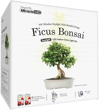 Miracle LED Absolute Daylight Full Spectrum, Ficus Bonsai Starter Grow Light Kit (Braided 4-Socket) by Miracle+LED